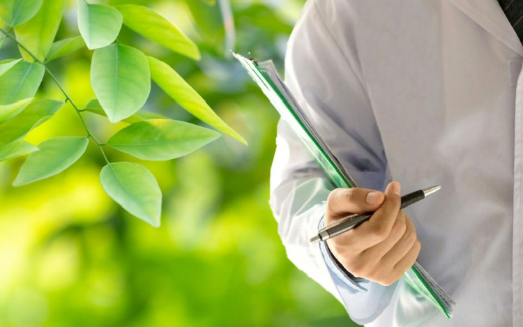 albo professionisti certificati